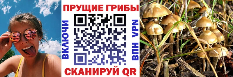 Купить где  Тюмень  Галлюциногенные грибы ЛСД 